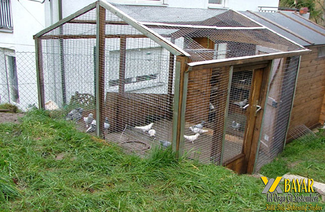 Bursa kafes tel istemleri